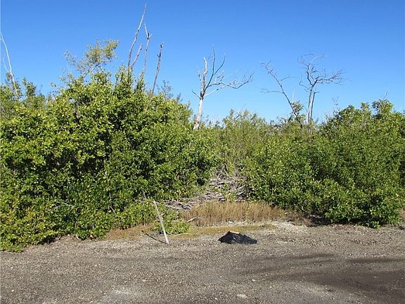 2nd image of 13686 Ficus Tree Ln