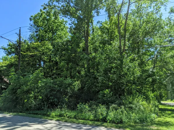 Black River Rd, Bangor, MI 49013