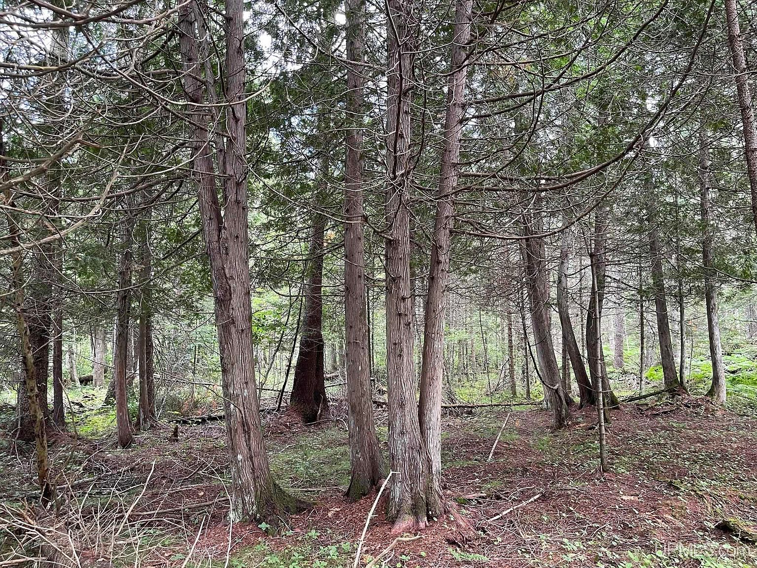 State Highway M94, Manistique, MI 49854 Zillow