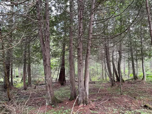 State Highway M94, Manistique, MI 49854