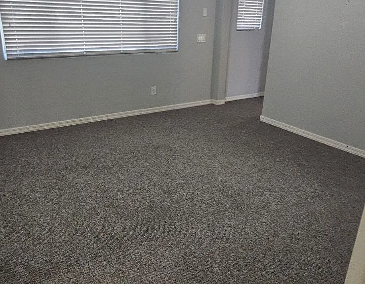 41208 W Rio Bravo Dr — Photo 12