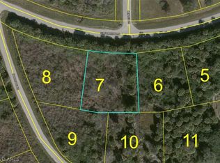 1176 Hicpochee Blvd, Moore Haven, FL 33471