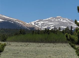 111 Thurber Ct, Fairplay, CO 80440