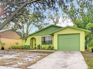 16132 Sagebrush Rd, Tampa, FL 33618