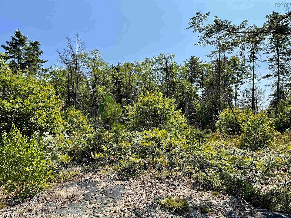 2nd image of Albany New Rd Lot 5
