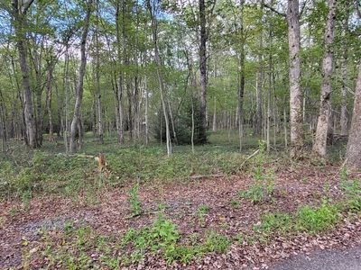 Poplar Ln, Jim Thorpe, PA, 18229