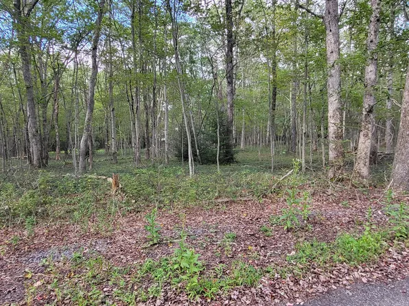 Poplar Ln, Jim Thorpe, PA 18229