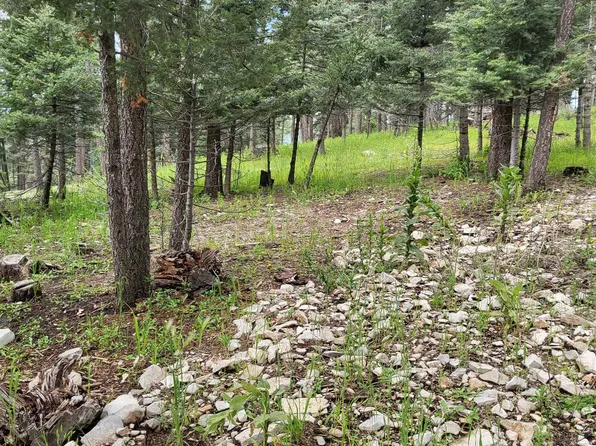 728-728 Little Bear #30-32, Cloudcroft, NM 88317
