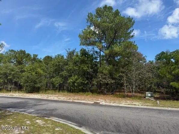 3026 Hartley Drive SE, Bolivia, NC 28422