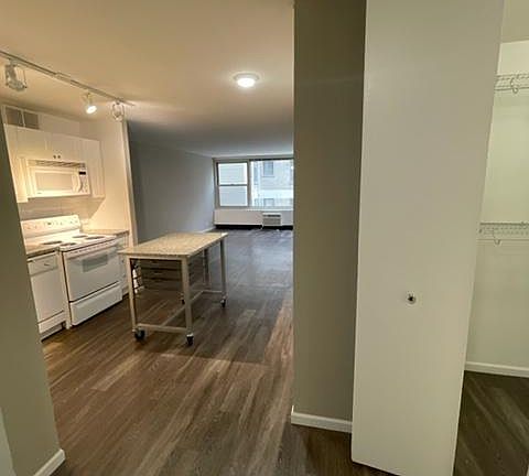 3rd image of 227 E Delaware Pl #1504