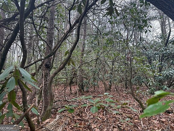 4th image of 7 & 8 Ideal Acres Rd