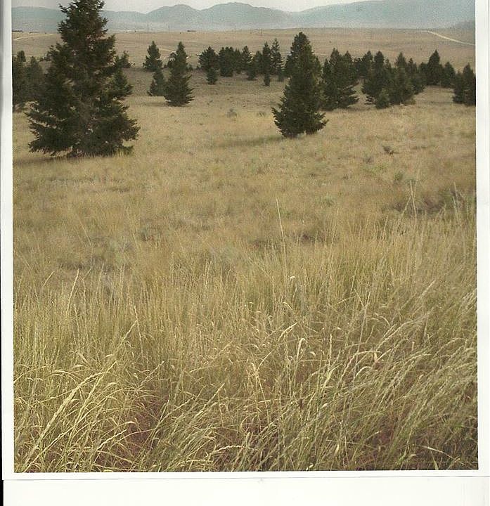 1st image of LOT 109 Powder Loop