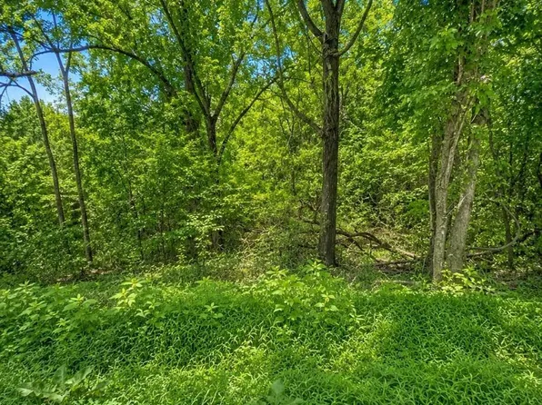 0 Reeves St, Lexington, TN 38351