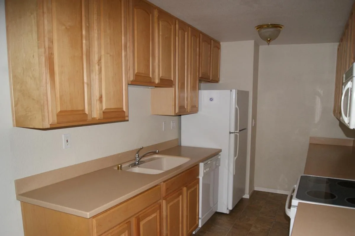 2 bed, 950 sqft, $2,500 — Photo 3