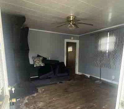 5th image of 233 Beech Rd