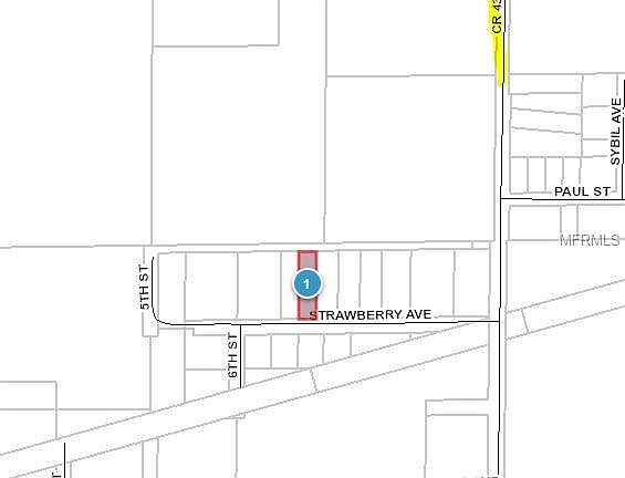 2nd image of Strawberry Ave