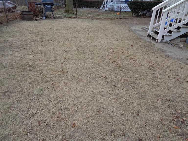 Grove St — Photo 18