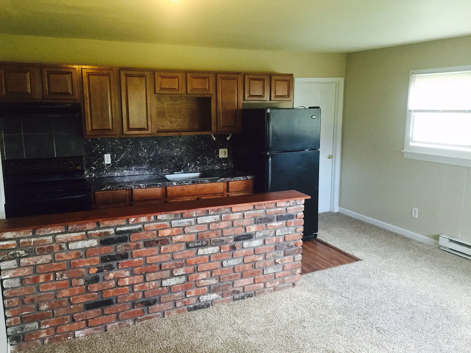 213 Lamplight Dr APT 4 photo 1