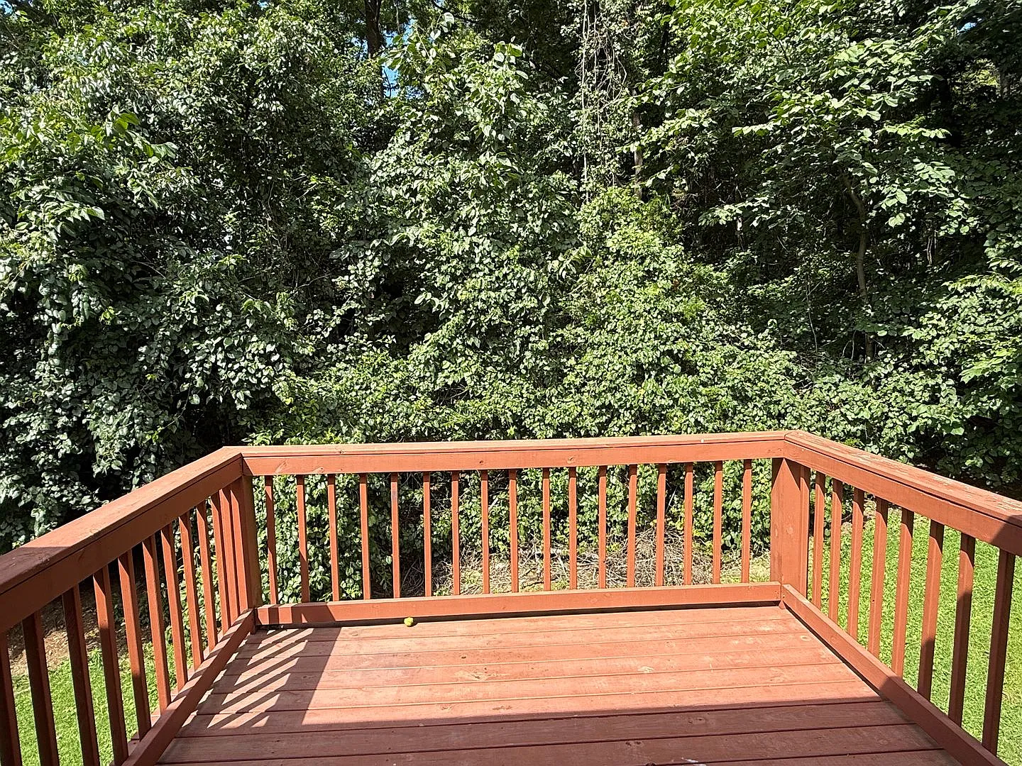 3 bed 2 bath + 2 car garage- Jonesborough — Photo 3