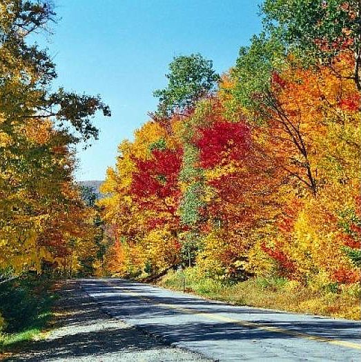 Enjoy 40 miles of trails