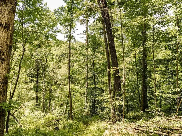 Apple Grove Ln, Morehead, KY 40351