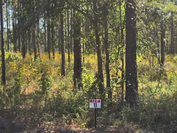 11 Army Recreation Rd, Florien, LA 71429