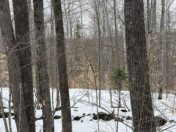 4th image of Lot 005 Greenwood Brook Road