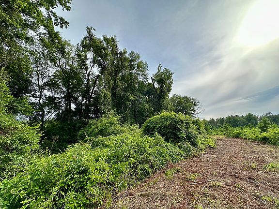 5th image of 0 Bennett Colter Rd