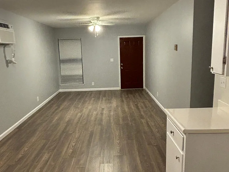 4807 Castle Pnes — Photo 3