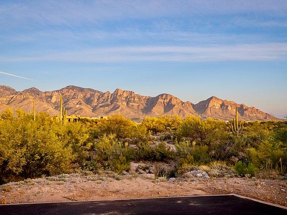 3rd image of 94 W Shimmering Sand Pl Lot 495