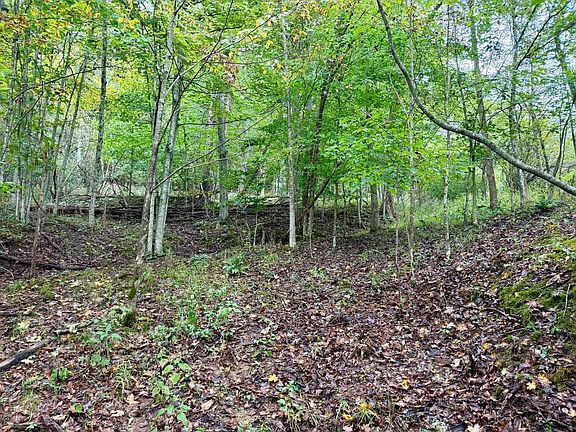 4th image of 0 Sarver Fork Rd