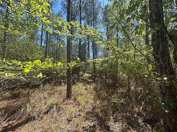 4th image of LOT 39 Carter Ranch Rd Lot 39