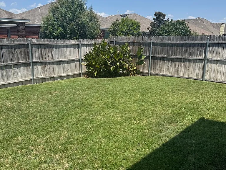 9524 Navarro St — Photo 24