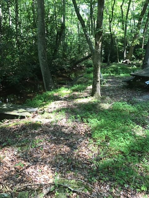 2nd image of 115 Dockery Rd