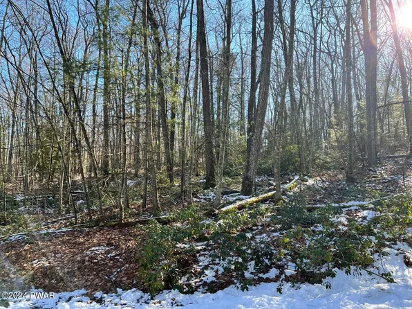 LOT 762 Mountain Snow Cir, Tafton, PA 18464