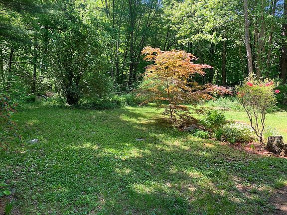 Private backyard