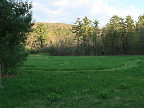 Meadow view