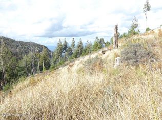 12988 N Loma Linda Ext Rd #13, Mt. Lemmon, AZ 85619