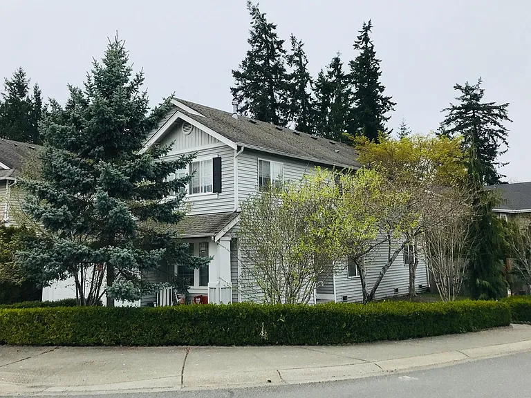 side yard