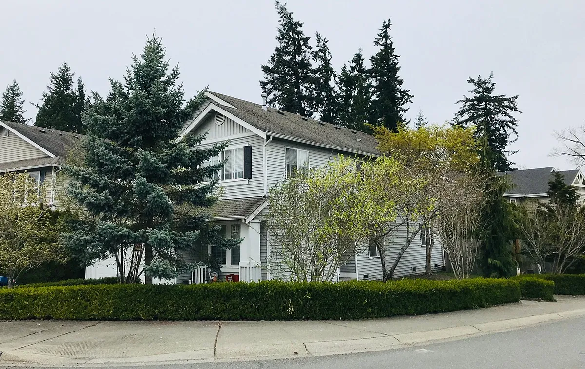 side yard - 115th St SE