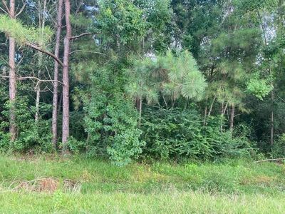 Bayou Pines Rd, Deridder, LA, 70634