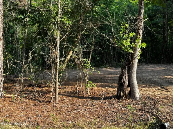 207 Church Rd, Brandon, MS 39047