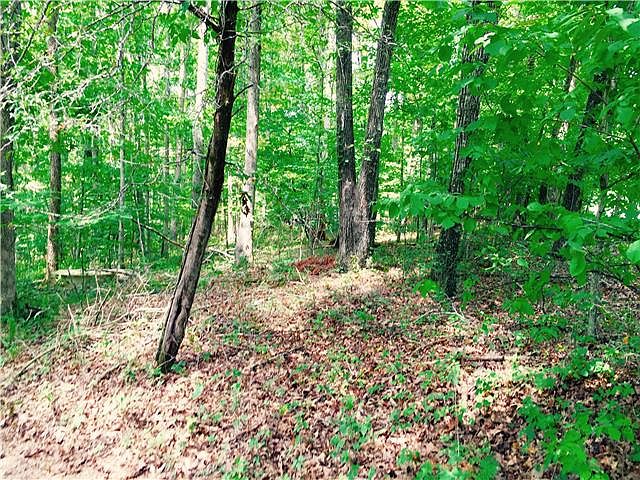 1st image of 278 Overlook Trl