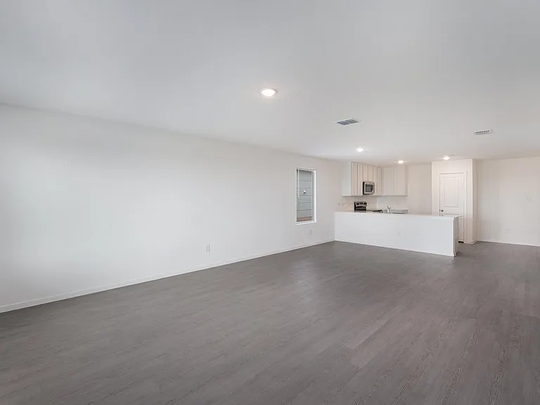 Living Room and Kitchen