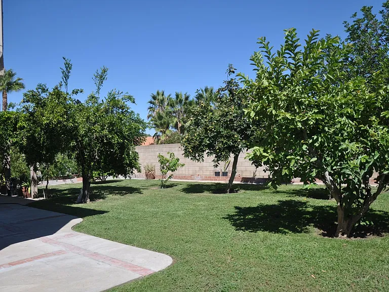 3354 Dynelo Ave — Photo 25