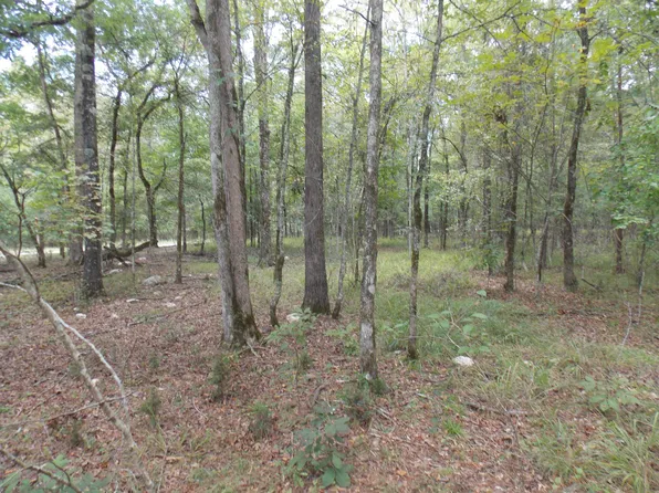 33 WOOD DUCK, Lincolnton, GA 30817