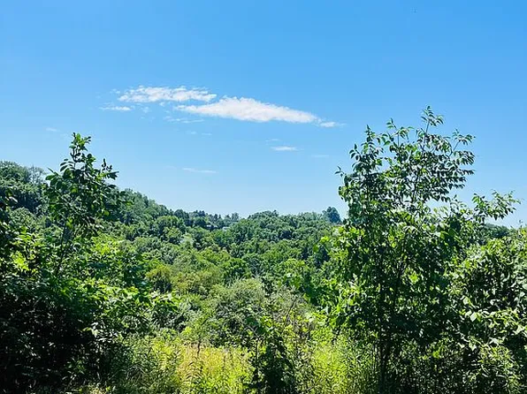 0 Northview Rd #1, Wellsburg, WV 26070