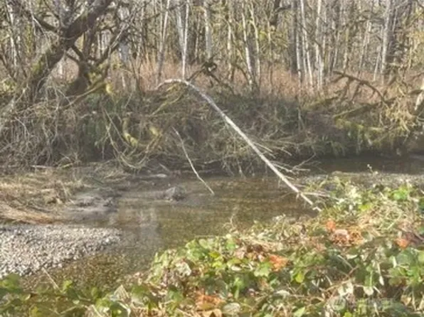 0 Sauk Road, Rockport, WA 98237