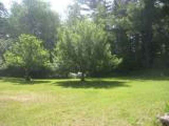 7 apple trees in front yard