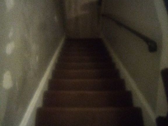 Stairs to get up stairs 